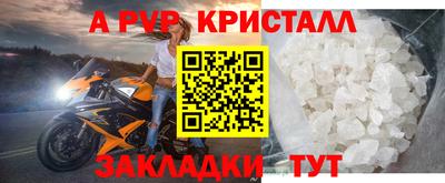 амф Можга