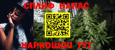стаф Моздок