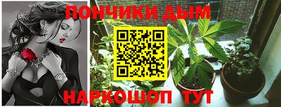 амф Можга