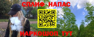 стаф Моздок