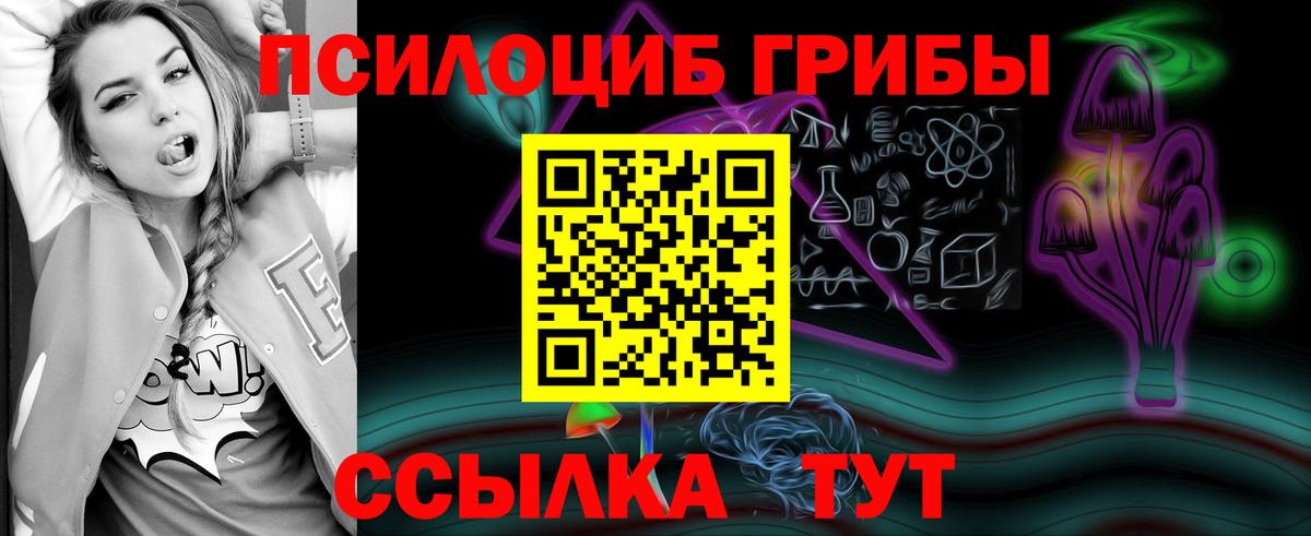 Тихвин  Псилоцибиновые грибы Psilocybine cubensis  Галлюциногенные грибы ЛСД  Вход с VPN 