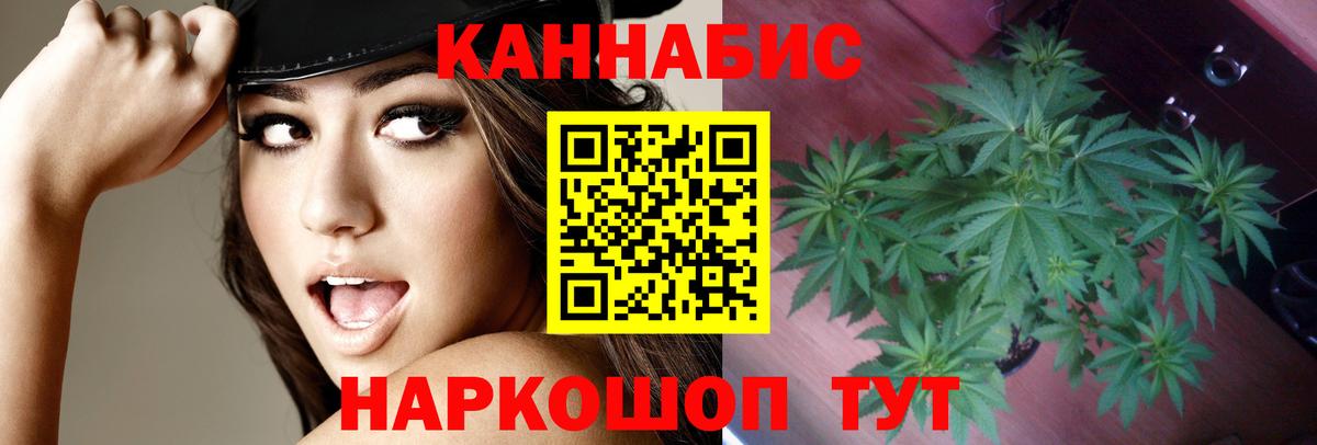 Канабис White Widow  Вход с VPN  Тихвин  Шишки марихуана индика  МАРИХУАНА OG Kush 